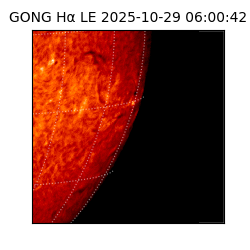 gong - 2025-10-29T06:00:42