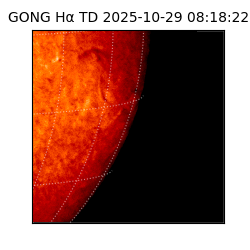 gong - 2025-10-29T08:18:22