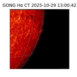 gong - 2025-10-29T13:00:42