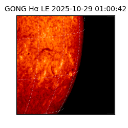 gong - 2025-10-29T01:00:42
