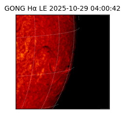 gong - 2025-10-29T04:00:42