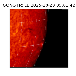 gong - 2025-10-29T05:01:42