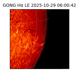 gong - 2025-10-29T06:00:42