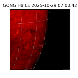gong - 2025-10-29T07:00:42