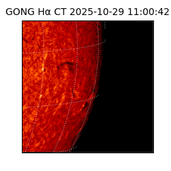 gong - 2025-10-29T11:00:42