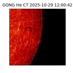 gong - 2025-10-29T12:00:42