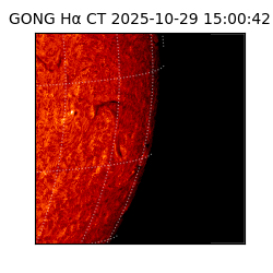 gong - 2025-10-29T15:00:42