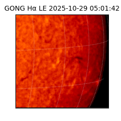 gong - 2025-10-29T05:01:42