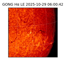 gong - 2025-10-29T06:00:42