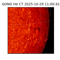 gong - 2025-10-29T11:00:42