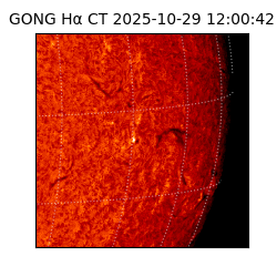 gong - 2025-10-29T12:00:42