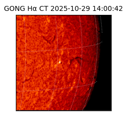 gong - 2025-10-29T14:00:42