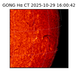 gong - 2025-10-29T16:00:42