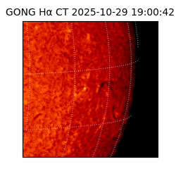 gong - 2025-10-29T19:00:42