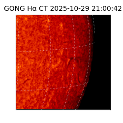 gong - 2025-10-29T21:00:42