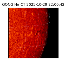 gong - 2025-10-29T22:00:42