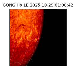 gong - 2025-10-29T01:00:42
