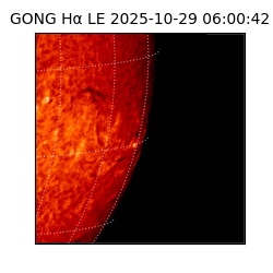 gong - 2025-10-29T06:00:42