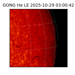 gong - 2025-10-29T03:00:42