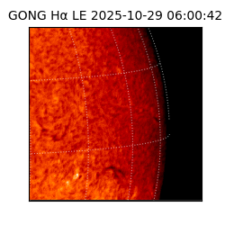 gong - 2025-10-29T06:00:42