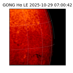 gong - 2025-10-29T07:00:42