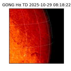 gong - 2025-10-29T08:18:22