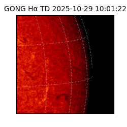 gong - 2025-10-29T10:01:22