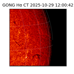 gong - 2025-10-29T12:00:42