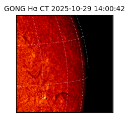 gong - 2025-10-29T14:00:42