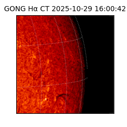 gong - 2025-10-29T16:00:42