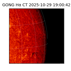 gong - 2025-10-29T19:00:42