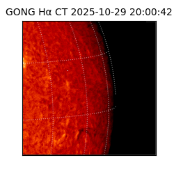gong - 2025-10-29T20:00:42