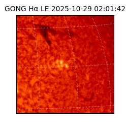 gong - 2025-10-29T02:01:42
