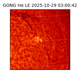 gong - 2025-10-29T03:00:42