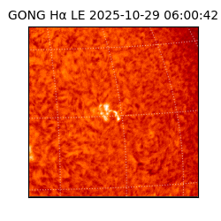gong - 2025-10-29T06:00:42