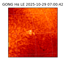 gong - 2025-10-29T07:00:42