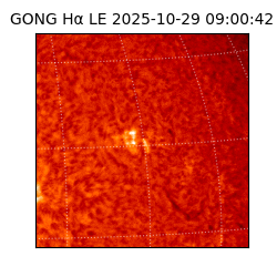 gong - 2025-10-29T09:00:42