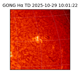 gong - 2025-10-29T10:01:22