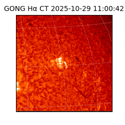 gong - 2025-10-29T11:00:42