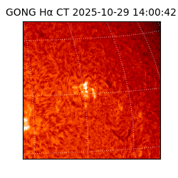 gong - 2025-10-29T14:00:42