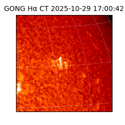 gong - 2025-10-29T17:00:42