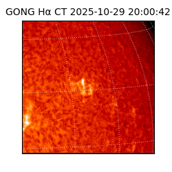 gong - 2025-10-29T20:00:42