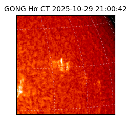 gong - 2025-10-29T21:00:42