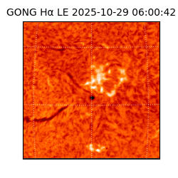 gong - 2025-10-29T06:00:42