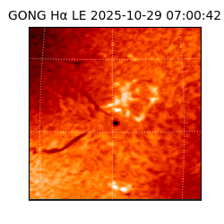 gong - 2025-10-29T07:00:42