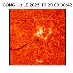 gong - 2025-10-29T09:00:42