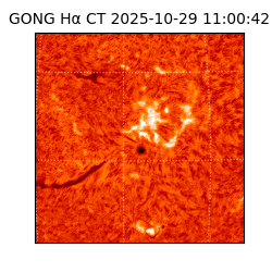 gong - 2025-10-29T11:00:42