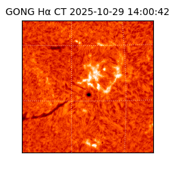 gong - 2025-10-29T14:00:42