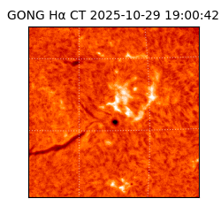gong - 2025-10-29T19:00:42