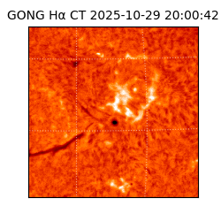 gong - 2025-10-29T20:00:42